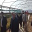 افتتاح 11 پروژه شهرداری نیشابور به مناسبت دهه مبارک فجر