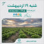 تقویم امروز شنبه ۱۹ اردیبهشت ۱۴۰۵  #مزارع_کاهو #نیشابور