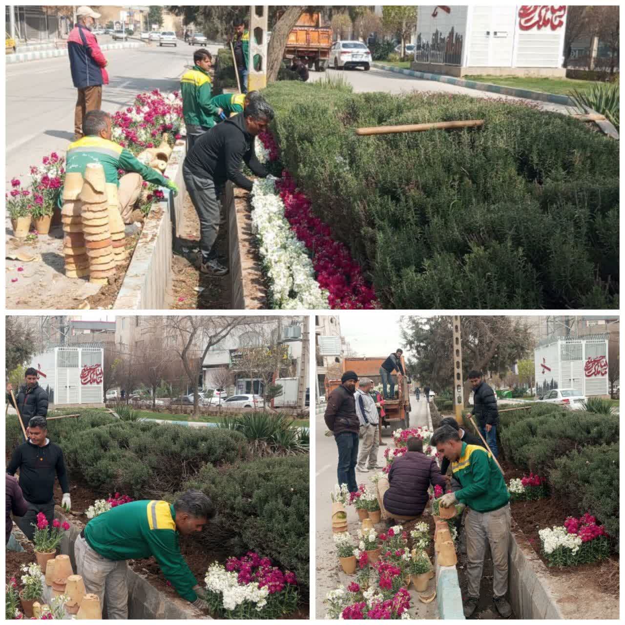 🌱  آماده سازی بستر و کشت ۴۵۰ بوته گل شب بو و ۵۰۰ بوته گل همیشه بهار در  لچکی خیابان ایثار توسط سبزبانان سازمان سیما منظر و فضای سبز  شهرداری نیشابور  🗓 ۲۱ اسفند ۱۴۰۴