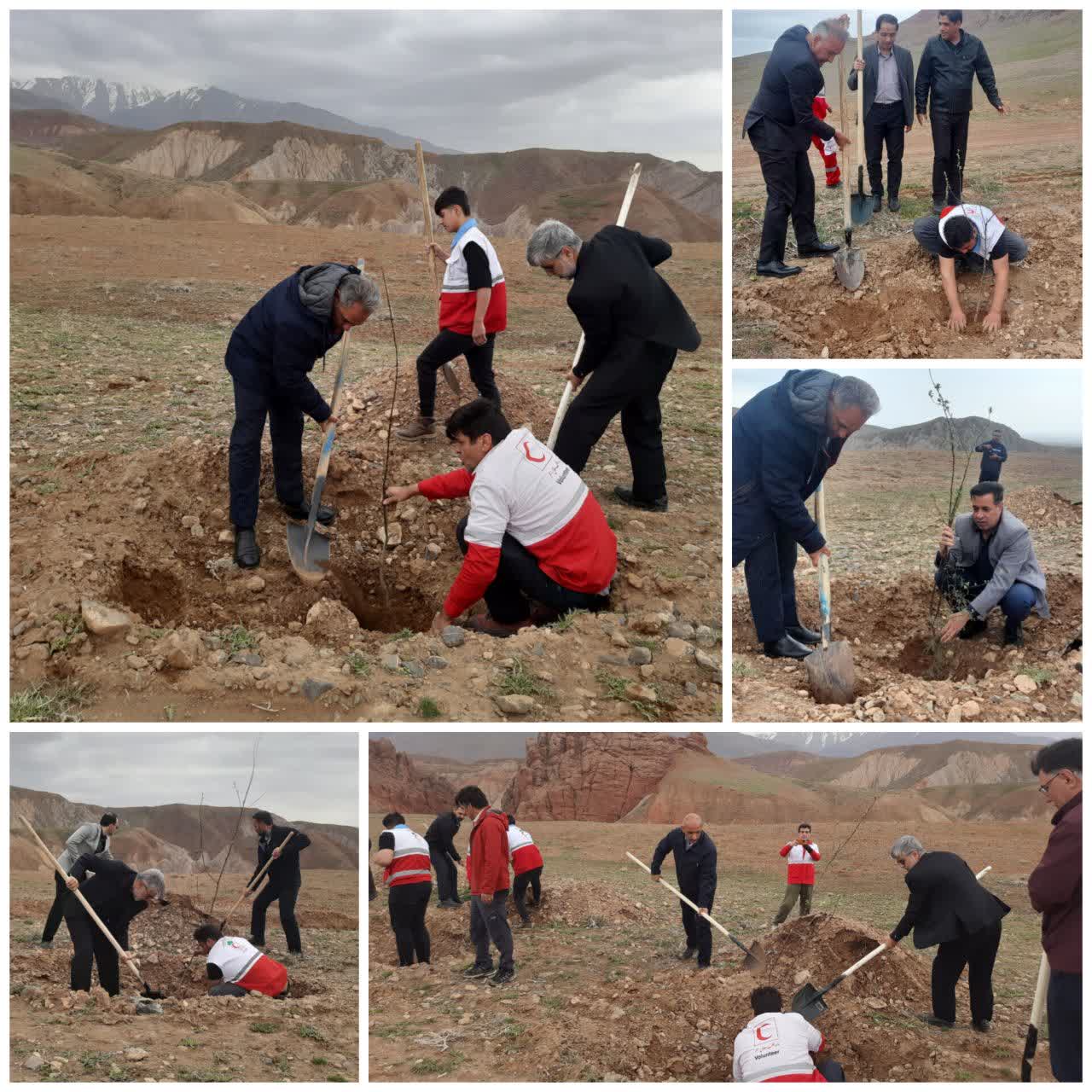💠 غرس ۲۵۰ اصله نهال سنجد و توت در نخستین روز کاری سال جدید در اکو پارک در حال احداث شهید قاجاریان  در نخستین روز کاری سال جدید، شهردار نیشابور به همراه مدیران و کارکنان شهرداری و با همراهی جمعیت جوانان هلال احمر و حضور اسماعیل شاه‌بیگی رئیس جمعیت جوانان هلال احمر نیشابور، در آیینی نمادین اقدام به غرس ۲۰۰ اصله نهال سنجد و ۵۰ نهال توت در اکو پارک در حال احداث شهید قاجاریان کردند.   این برنامه در راستای پاسداشت فرهنگ ایثار و ترویج سنت حسنه درختکاری