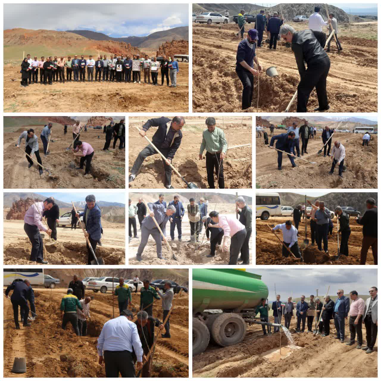 🌲 غرس «نهال امید» در اکوپارک شهید قاجاریان نیشابور  در لبیک به فرمان رهبر معظم انقلاب اسلامی و در چارچوب پویش «نهال امید» و حماسه رویش، آیین ایجاد توتستانی به یاد شهدای جنگ رمضان، صبح شنبه ۱۵ فروردین ۱۴۰۵ به همت سازمان سیما، منظر و فضای سبز شهرداری نیشابور در مجموعه اکوپارک شهید قاجاریان واقع در انتهای روستای غار برگزار شد.  این برنامه به دعوت شهردار نیشابور و با حضور مدیران و کارکنان شهرداری، دادستان نیشابور، معاون فنی و رئیس اداره بیابان‌زدایی اداره کل منابع طبیعی و آبخیزداری خراسان رضوی،  ▫️