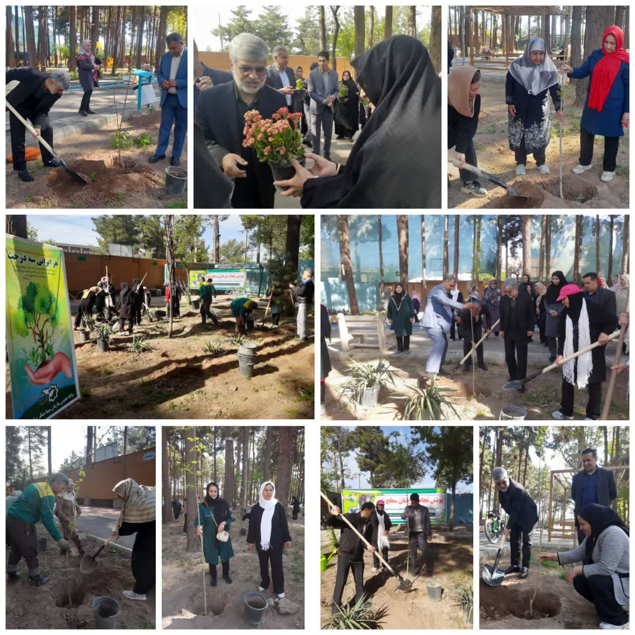 غرس ۵۰ اصله «نهال امید» در پارک بانوان نیشابور ▫️