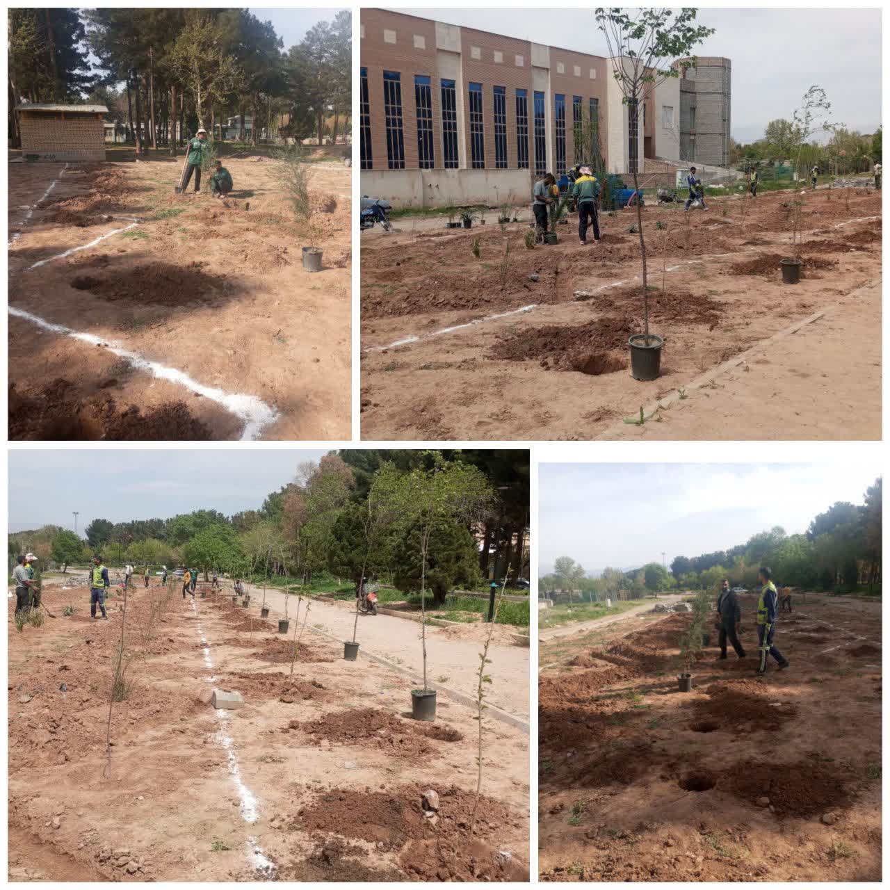 🌱آغاز عملیات کشت باغچه‌های جدید افلاک‌نمای خیام  در راستای اجرای طرح محوطه‌سازی افلاک‌نمای خیام، عملیات کشت در باغچه‌های تازه‌احداث‌شده بخش شرقی این مجموعه آغاز شد. پس از انجام مراحل آماده‌سازی شامل خاک‌برداری، خاک‌ریزی، پهن‌کردن و رگلاژ، کاشت گونه‌های مختلف گیاهی توسط نیروهای منطقه گردشگری انجام گرفت.  ▫️