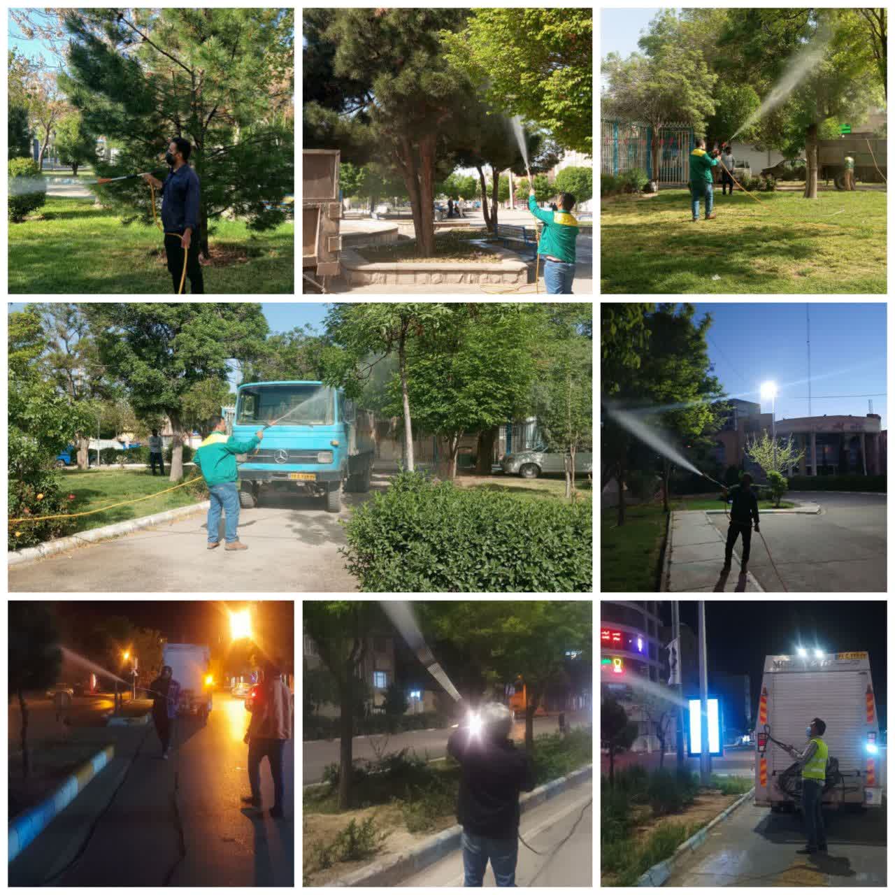 🌱 عملیات گسترده سم‌پاشی بهاره در سطح شهر نیشابور  به منظور پیشگیری از شیوع آفات بهاری و حفظ سلامت درختان و فضای سبز شهری، عملیات گسترده سم‌پاشی در نقاط مختلف شهر نیشابور توسط نیروهای سازمان سیما، منظر و فضای سبز شهری شهرداری نیشابور آغاز شد.  به گزارش روابط عمومی سازمان سیما، منظر و فضای سبز شهری، با افزایش فعالیت آفات در فصل بهار و به منظور جلوگیری از گسترش آن‌ها، نیروهای واحد سم‌پاشی به همراه نیروهای پیمانکار، برنامه‌ای منظم برای سم‌پاشی در معابر، بوستان‌ها و فضاهای سبز شهری اجرا کرده‌اند. .