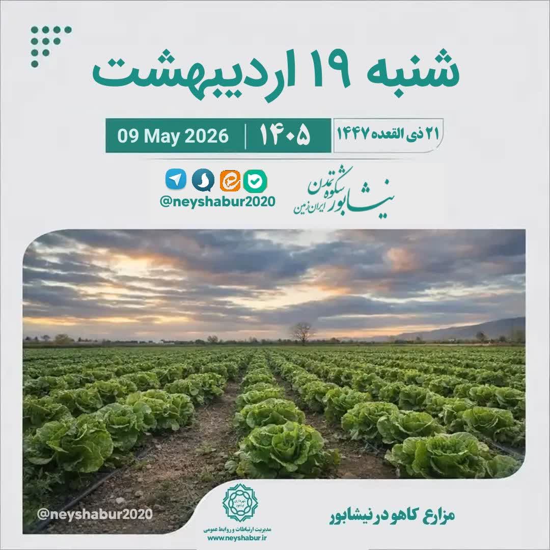 تقویم امروز شنبه ۱۹ اردیبهشت ۱۴۰۵  #مزارع_کاهو #نیشابور
