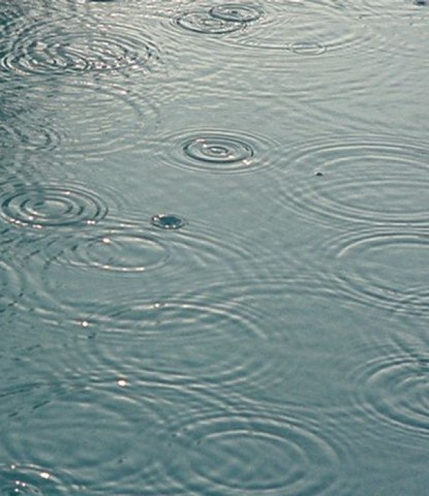  حضور  رییس انجمن علمی سطوح آّبگیر ایران به منظور ارایه راهکارهای بهینه استفاده از آب های سطحی در نیشابور