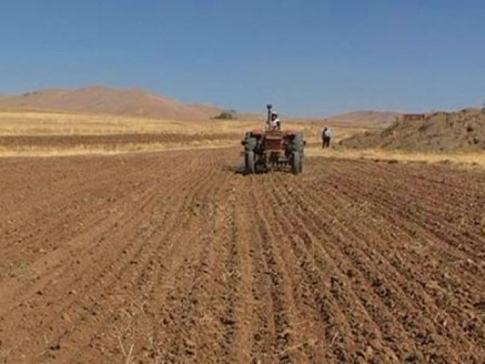 کشت پاییزه امسال در40روستا نیشابورمطابق با آخرین یافته های علمی کاشته شد