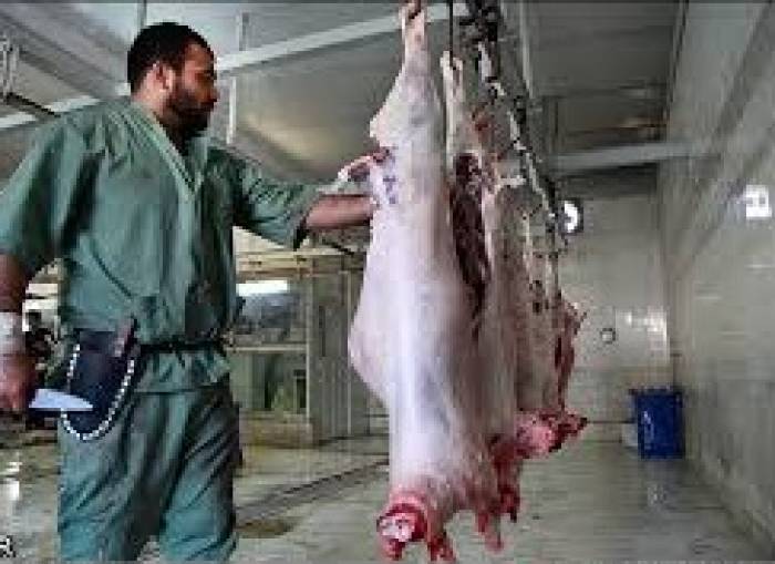 در خصوص مزایده  کشتارگاه دامی شهرداری نیشابور