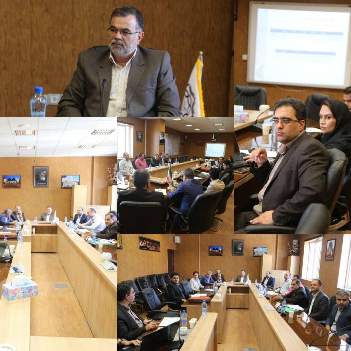از دریچه دوربین