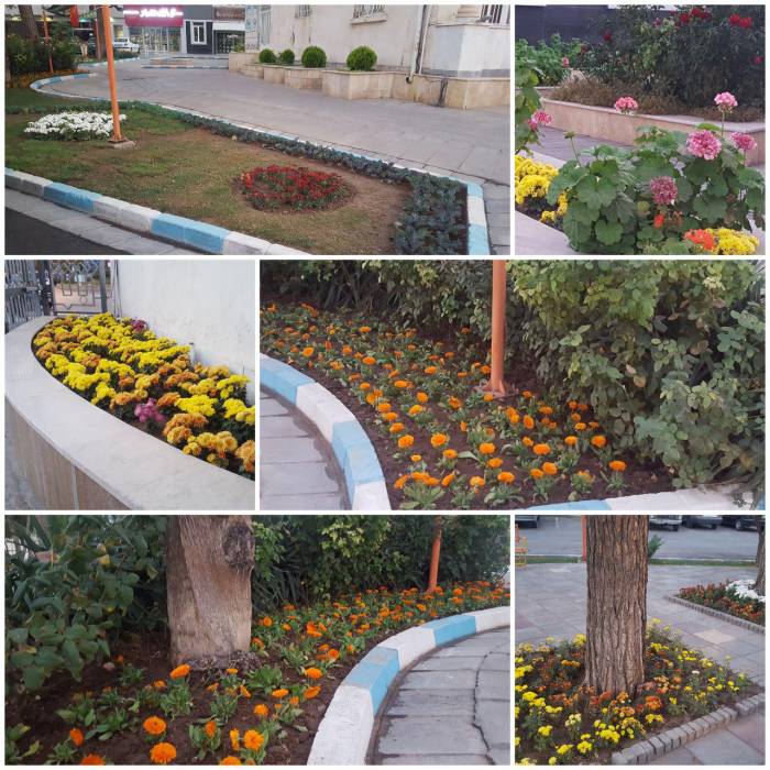 از دریچه دوربین
