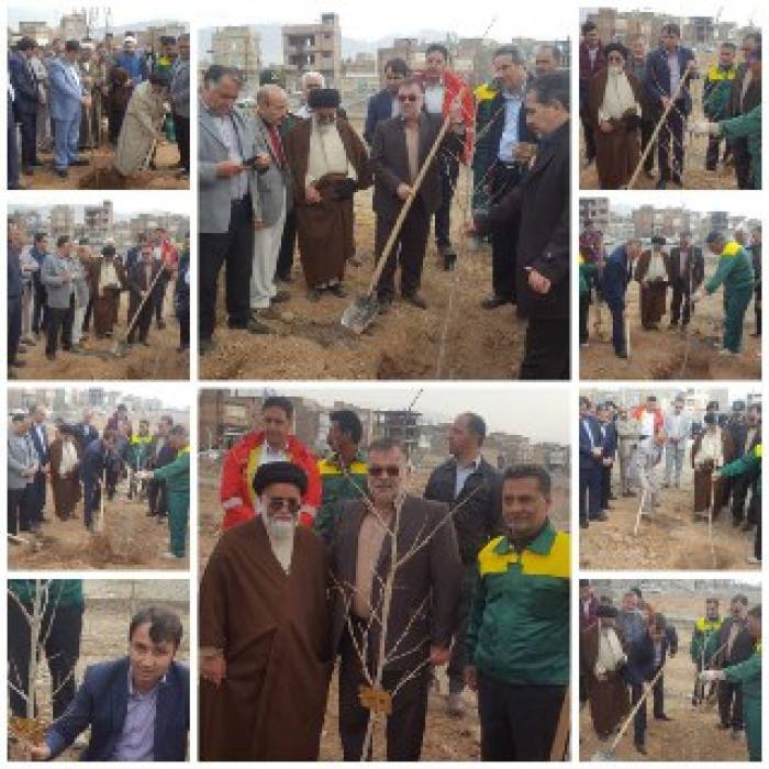 برگزاری مراسم درختکاری و اجرای طرح 
