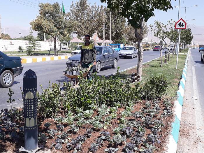 دو گل به ازای هر شهروند نیشابوری کاشته می‌شود